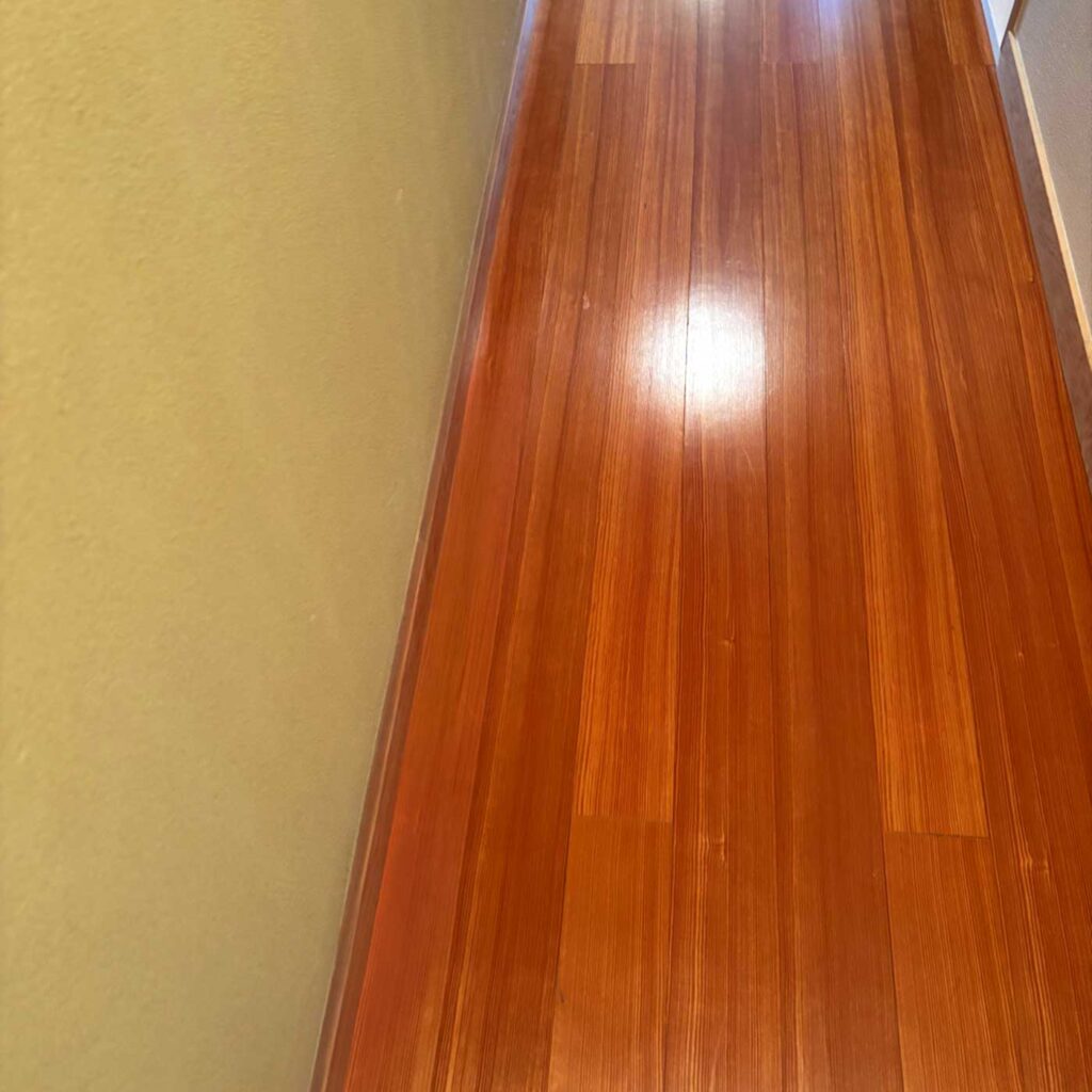 画像コンテンツ